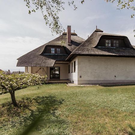 Ferienhaus Schilfvilla Moerbisch Am See Ngoại thất bức ảnh